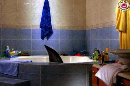 tous o bain !!!