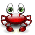 le tit crabe !!!