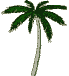 palmmier